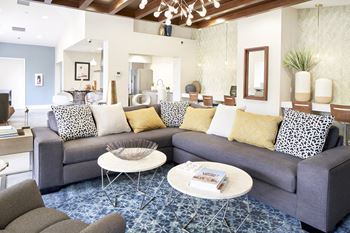 Luxurious interiors